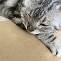 こんばんは