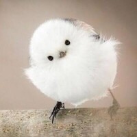 おはよう
