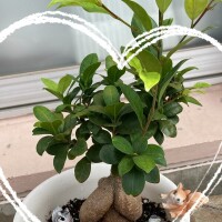 おはようございます