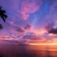 夏を楽しみましょ🌺🌴