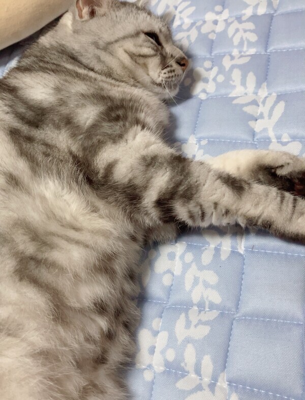 こんばんは
