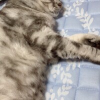 こんばんは