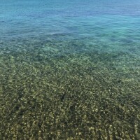 水曜出勤