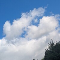 おはようございます☀️🌱