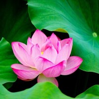 こんにちは☺