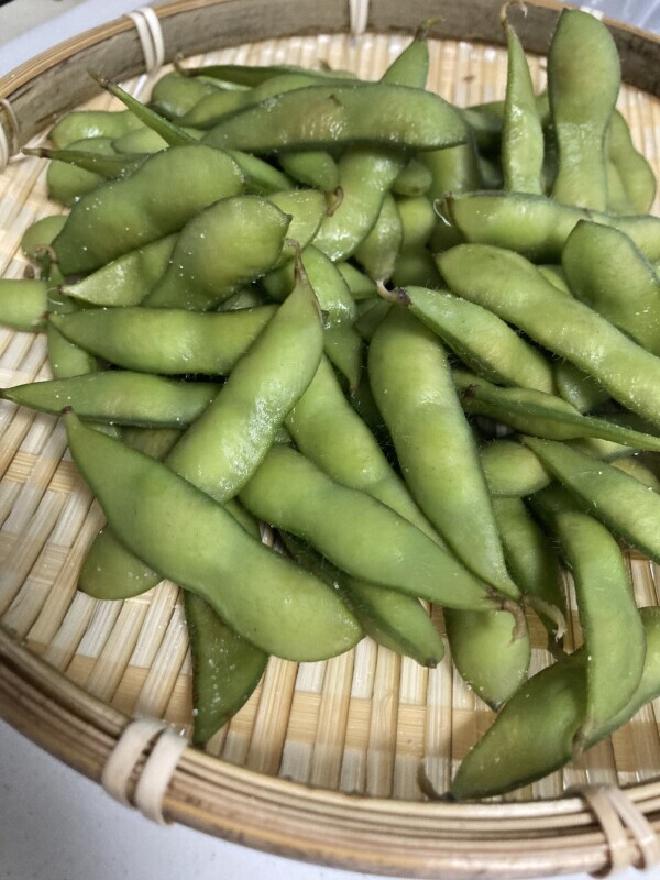 こんばんは