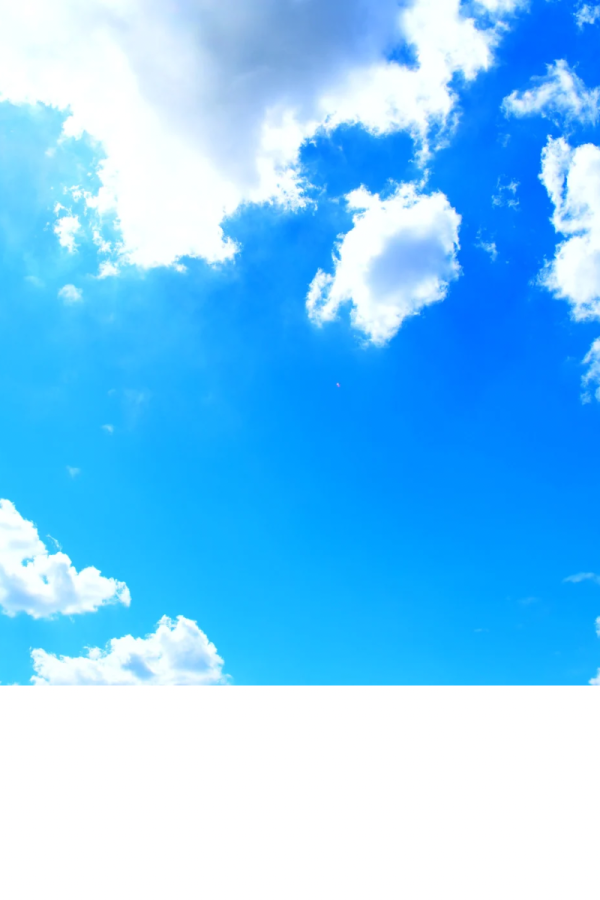 image0.png