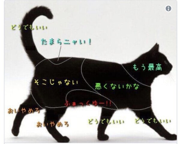 整いました