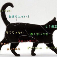 整いました