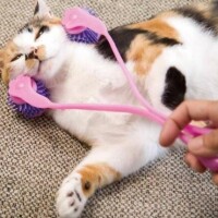 お疲れ様です