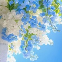 おはようございます♪