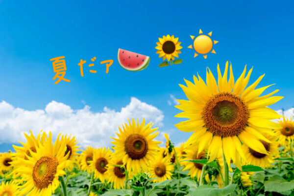 そろそろ。。。