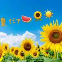 乙葉