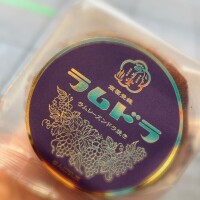 ポケットにレーズン