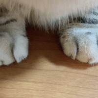 こんばんは
