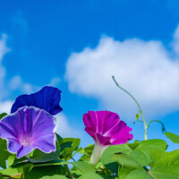 おはようございます！