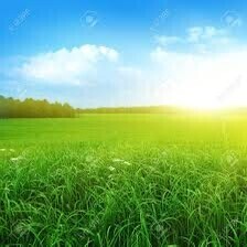 おはようございます☀️