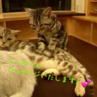 お待ちしてます🍀🫧