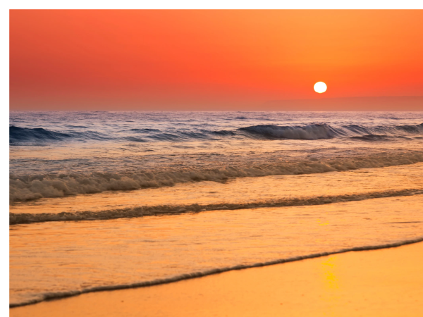 今日もありがとう☺️明日お待ちしてます🌻