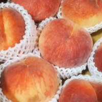 桃GET🍑