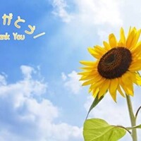 こんばんは😊