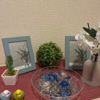 整いました