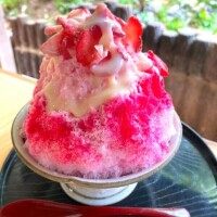 こんにちは☺