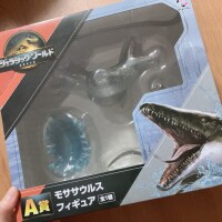 こんばんは