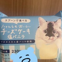 昨夜のおやつ🐱🌙夏の習慣