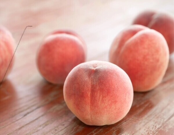 おはようございます