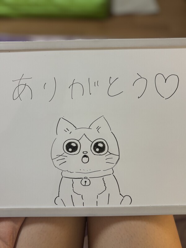 ありがとうございました🐱