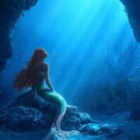 海の中。。🌊