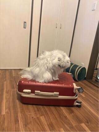 ちょっと涼しいかな