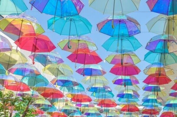 おはようございます