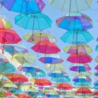 おはようございます