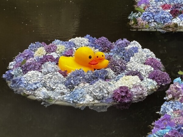 おはようございます♪