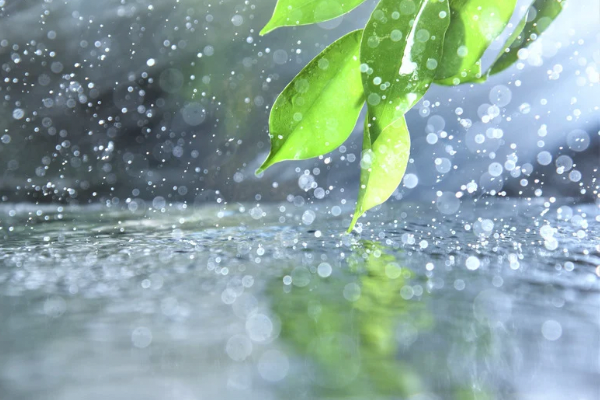 ありがとうございました😊このあとも🌸