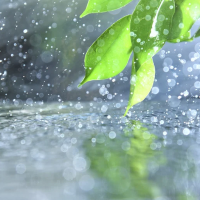 ありがとうございました😊このあとも🌸