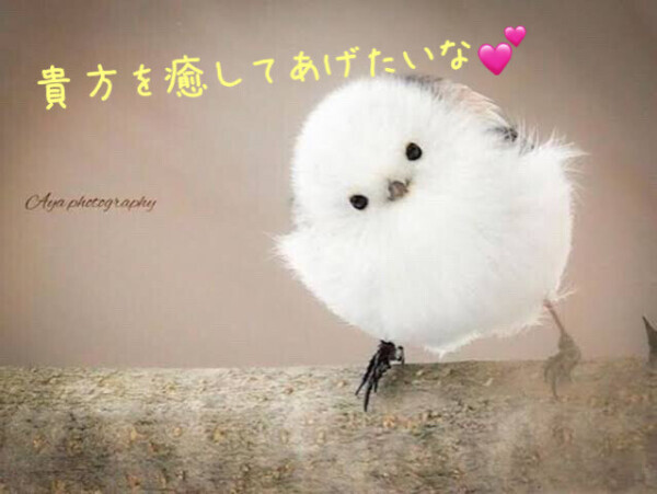 今のうちに。。(*´艸`)