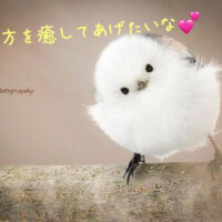 今のうちに。。(*´艸`)