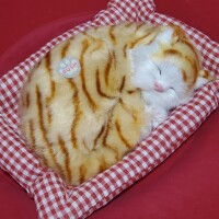お迎え