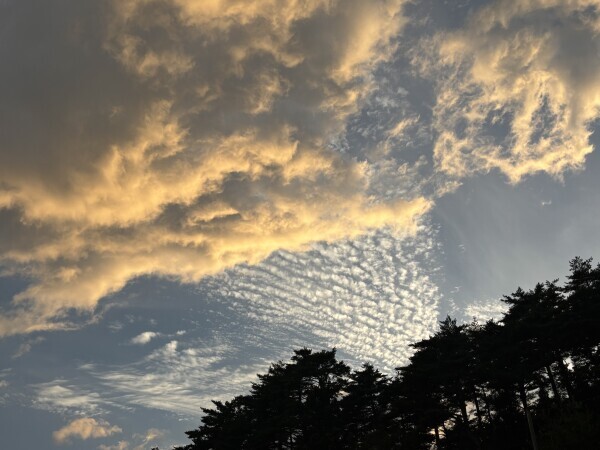 おやすみなさい🌙♡