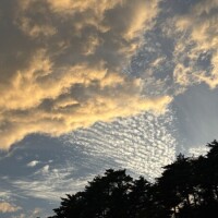 おやすみなさい🌙♡