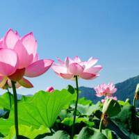 おはようございます☀️
