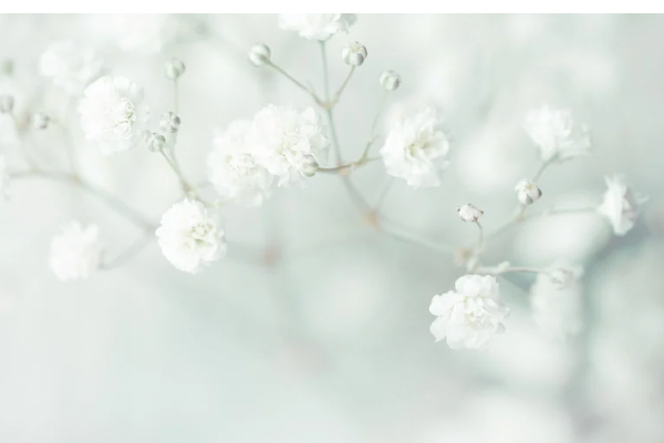 次にお会いできる日を楽しみに…🍀