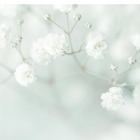 次にお会いできる日を楽しみに…🍀