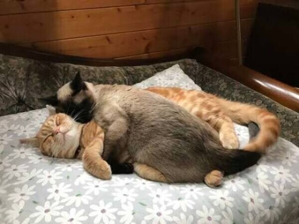 あれです、あれ♡♡