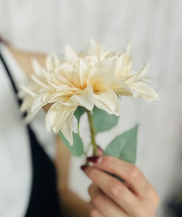 まだまだぜひぜひ！