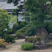 お久しぶりに♡