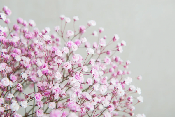 おはようございます🌿